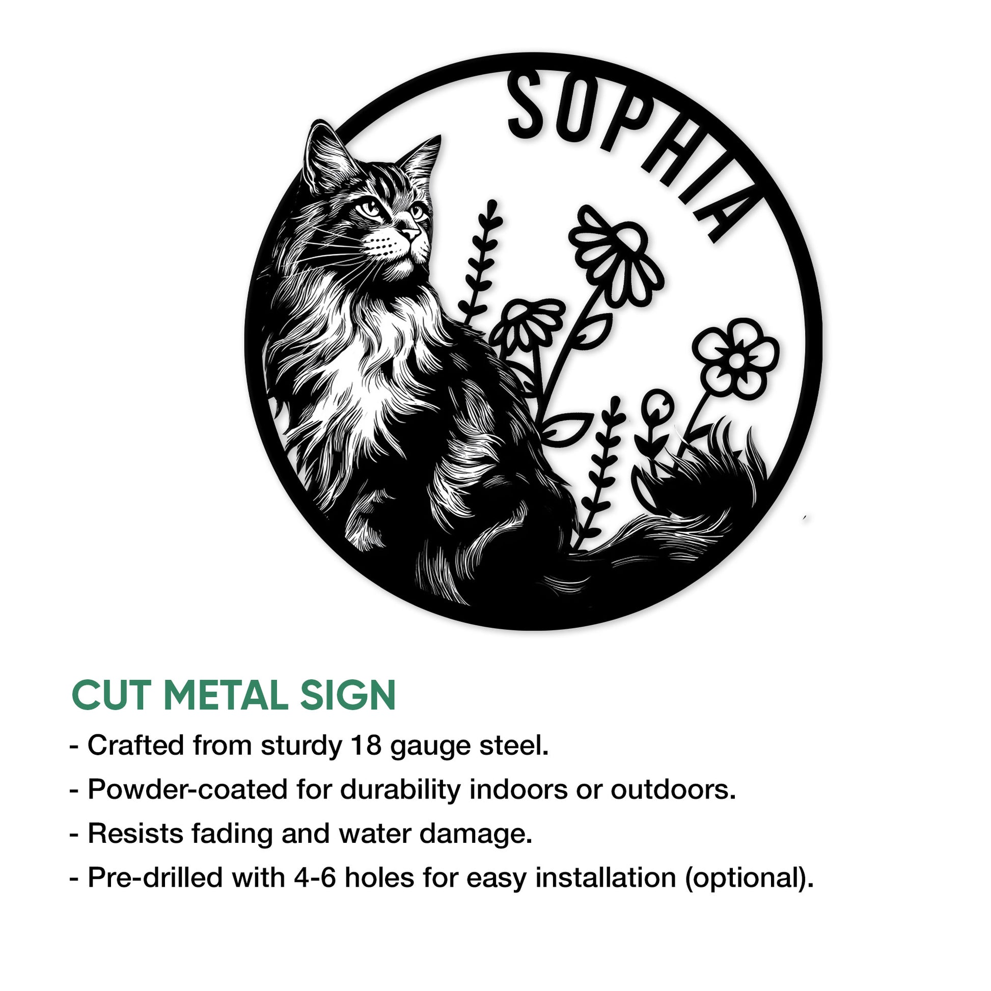 Maine Coon cat metal sign shown with product feature details and multiple display options