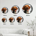 Vizsla dog metal sign size guide showing circular options from 8 by 8 inches to 24 by 24 inches