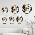 Aussiedoodle metal sign size guide showing six circular size options from 8 by 8 to 24 by 24 inches