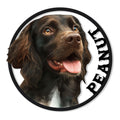 Boykin Spaniel metal sign featuring a detailed chocolate dog portrait in a round frame