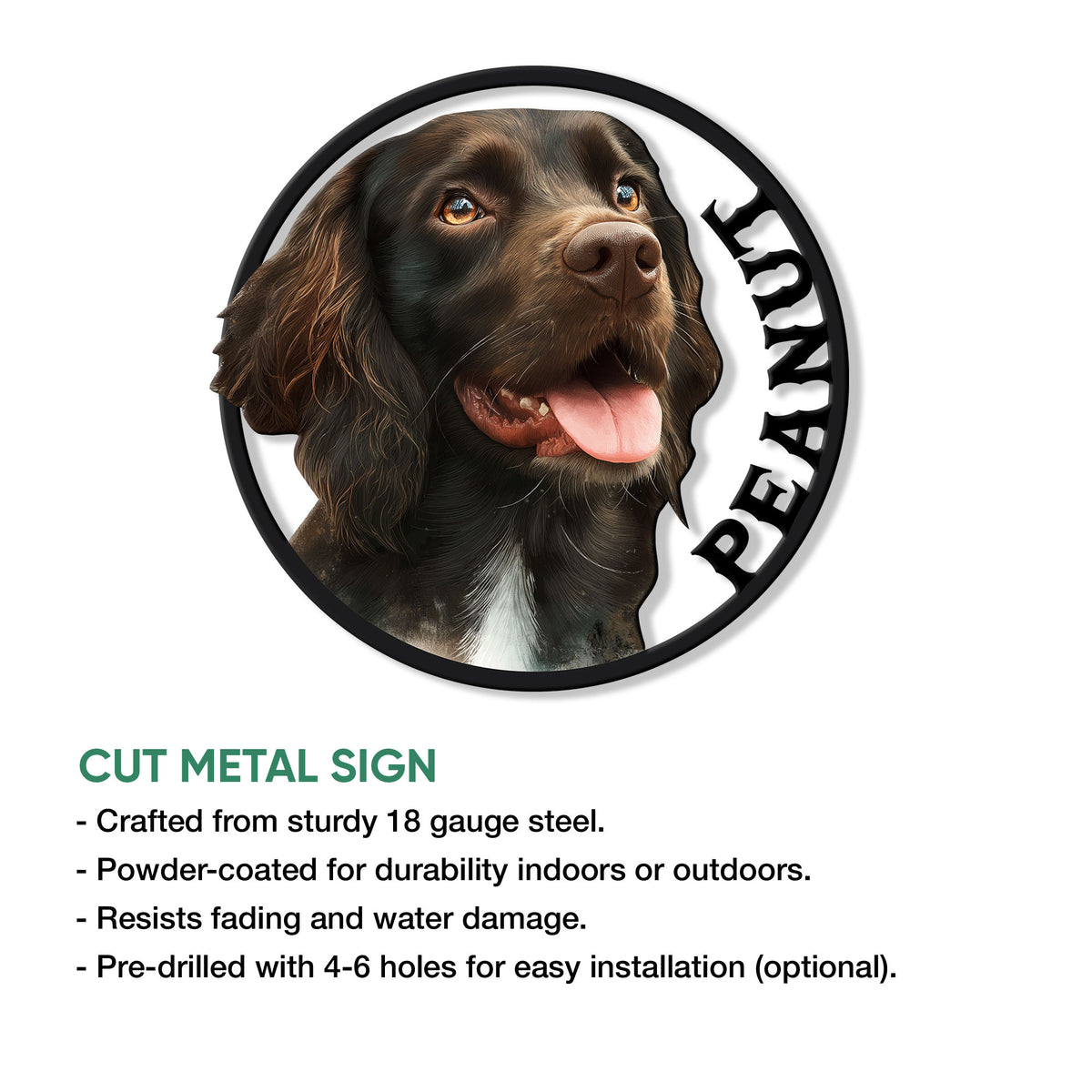 Round Boykin Spaniel metal sign shown with a realistic portrait and cut steel design
