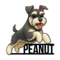 Playful Miniature Schnauzer metal sign featuring a shaggy dog portrait with raised paws and tongue out