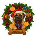 English Mastiff wearing a Santa hat with gifts, holly, pinecones, and festive greenery