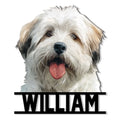 Close-up Lhasa Apso portrait on a cut metal sign with a cheerful expression and bold lower design