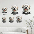 Lhasa Apso metal sign size guide showing six available square size options in a living room
