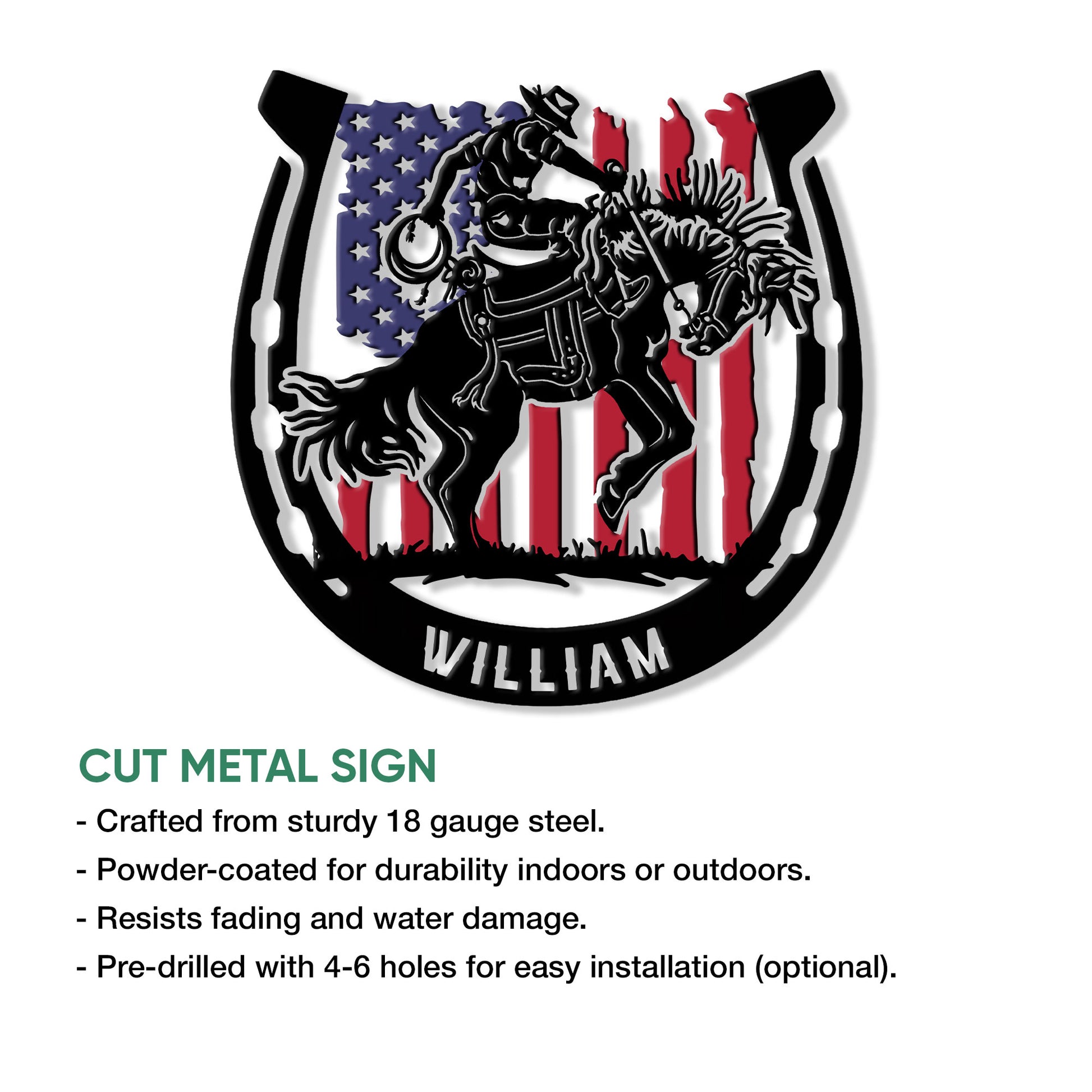 Rodeo bull rider horseshoe metal sign shown with product feature information