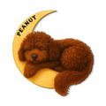 Curly brown Labradoodle resting against a crescent moon on a decorative metal sign