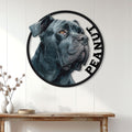 Cane Corso metal wall sign displayed above a wood console in a bright home entryway