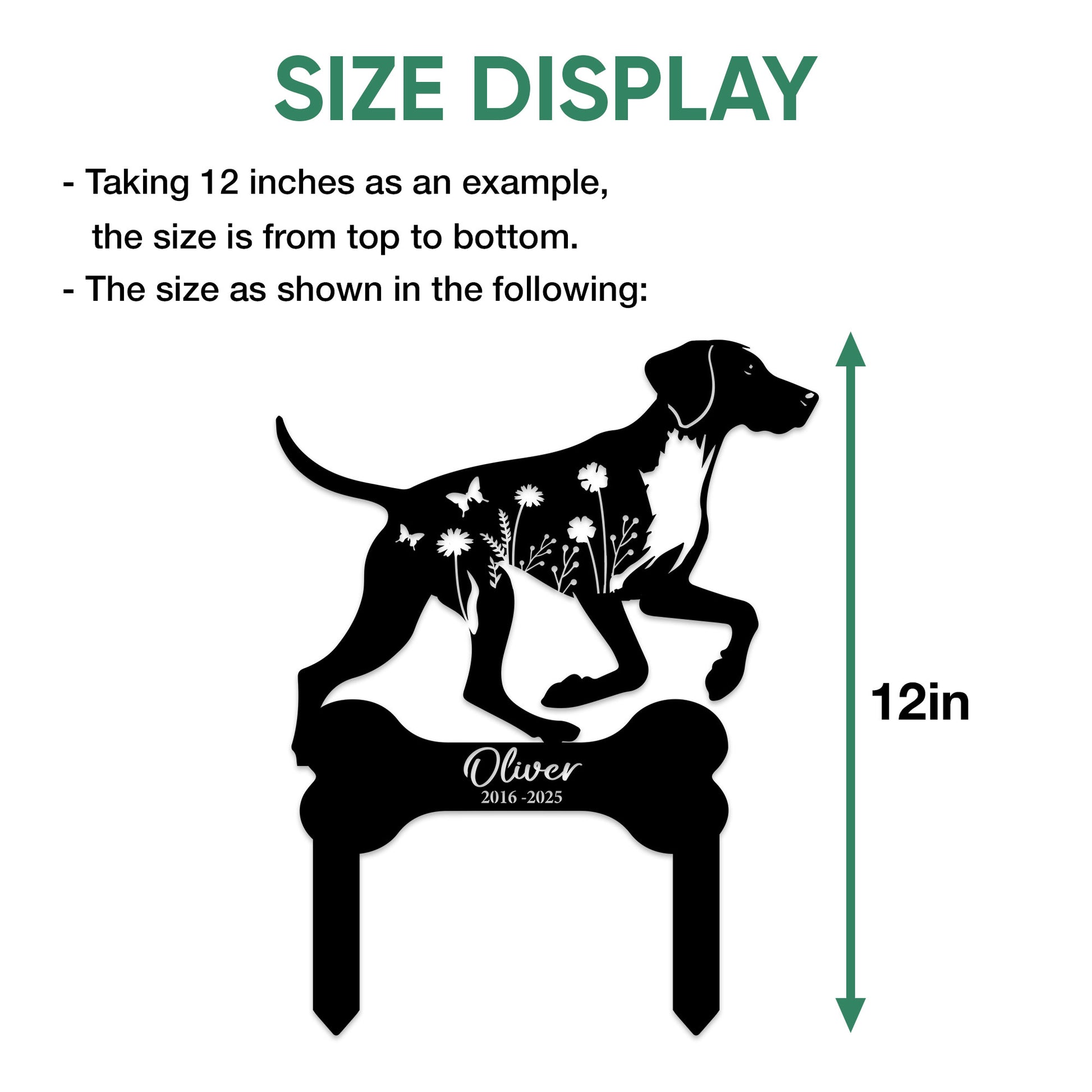 German Shorthaired Pointer metal sign size guide showing the example overall height