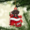 Ohaprints-Christmas-Ornament-2D-Flat-Schnoodle-In-Red-Santa-Gift-Bag-Gifts-For-Dog-Lovers-Xmas-Tree-Decor-Gift-156