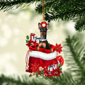 Ohaprints-Christmas-Ornament-2D-Flat-Miniature-Pinscher-In-Red-Santa-Gift-Bag-Gifts-For-Dog-Lovers-Xmas-Tree-Decor-Gift-159