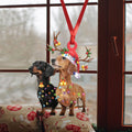 Ohaprints-Christmas-Ornament-2D-Flat-Dachshund-Wearing-Christmas-Hat-Reindeer-With-String-Lights-Doxie-Dog-Lover-Xmas-Tree-Decor-Gift-236