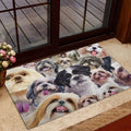 Ohaprints-Doormat-Outdoor-Indoor-Funny-Shih-Tzu-Shitzu-Dogs-Faces-Hope-You-Like-Dog-Hair-Rubber-Door-Mat-384-