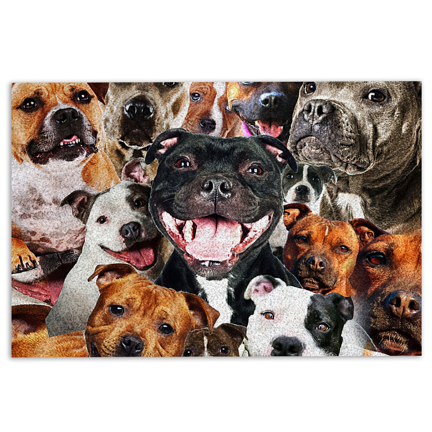 Ohaprints-Doormat-Outdoor-Indoor-Funny-Staffordshire-Pitbull-Terrier-Dogs-Hope-You-Like-Dog-Hair-Rubber-Door-Mat-288-18'' x 30''