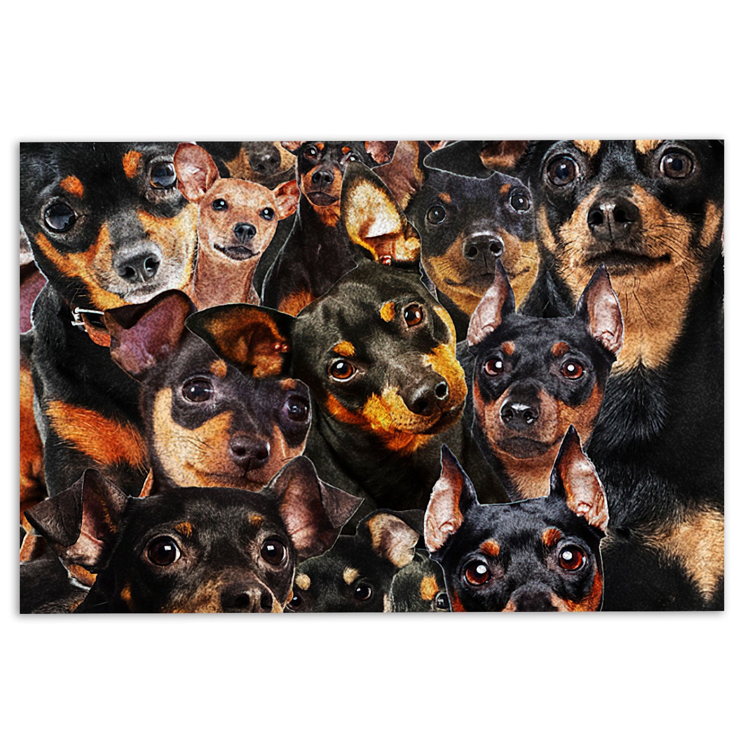 Ohaprints-Doormat-Outdoor-Indoor-Funny-Miniature-Pinscher-Dogs-Faces-Hope-You-Like-Dog-Hair-Rubber-Door-Mat-451-18'' x 30''