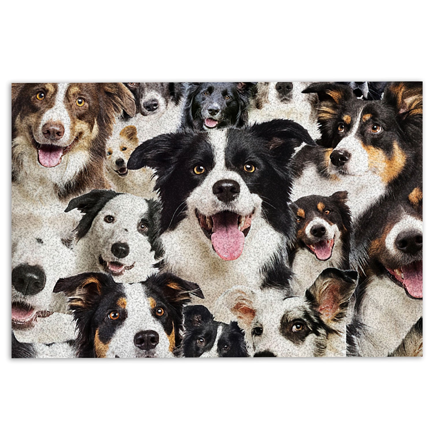 Ohaprints-Doormat-Outdoor-Indoor-Funny-Border-Collie-Dogs-Faces-Hope-You-Like-Dog-Hair-Rubber-Door-Mat-363-18'' x 30''