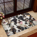 Ohaprints-Doormat-Outdoor-Indoor-Funny-Border-Collie-Dogs-Faces-Hope-You-Like-Dog-Hair-Rubber-Door-Mat-363-