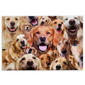 Ohaprints-Doormat-Outdoor-Indoor-Funny-Golden-Retriever-Dogs-Faces-Hope-You-Like-Dog-Hair-Rubber-Door-Mat-331-18'' x 30''