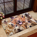 Ohaprints-Doormat-Outdoor-Indoor-Funny-Golden-Retriever-Dogs-Faces-Hope-You-Like-Dog-Hair-Rubber-Door-Mat-331-