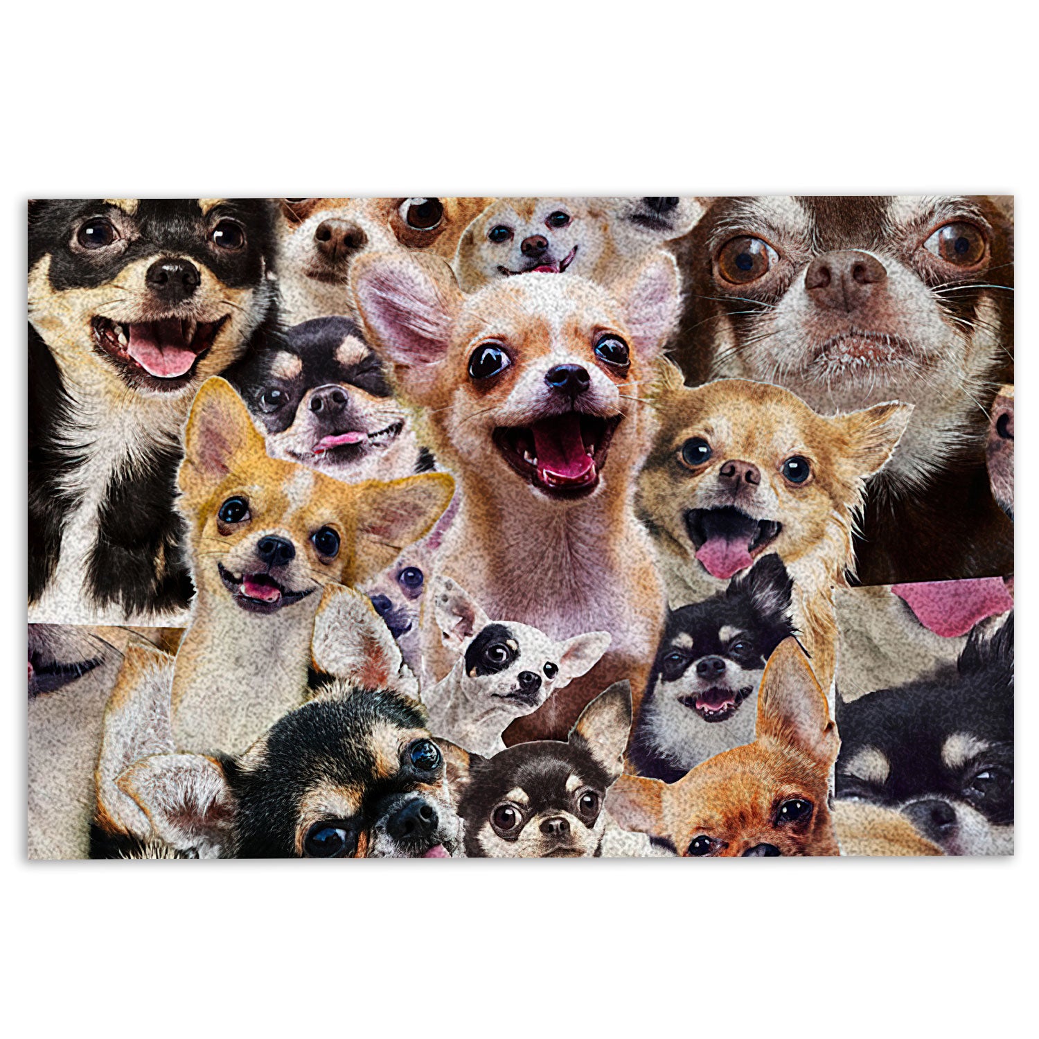 Ohaprints-Doormat-Outdoor-Indoor-Funny-Chihuahua-Dogs-Faces-Hope-You-Like-Dog-Hair-Rubber-Door-Mat-322-18'' x 30''