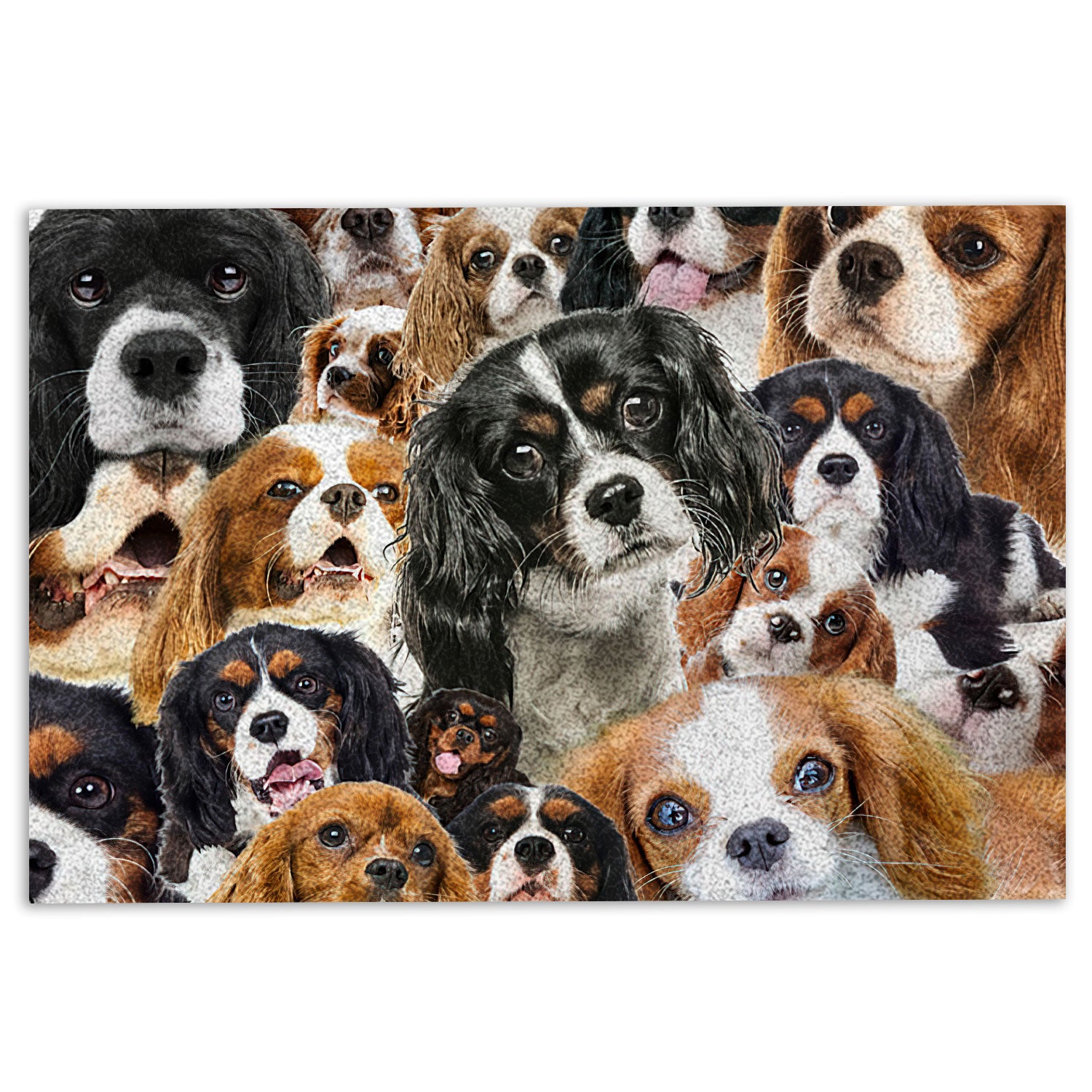 Ohaprints-Doormat-Outdoor-Indoor-Funny-Cavalier-King-Charles-Spaniel-Dogs-Faces-Hope-You-Like-Dog-Rubber-Door-Mat-404-18'' x 30''