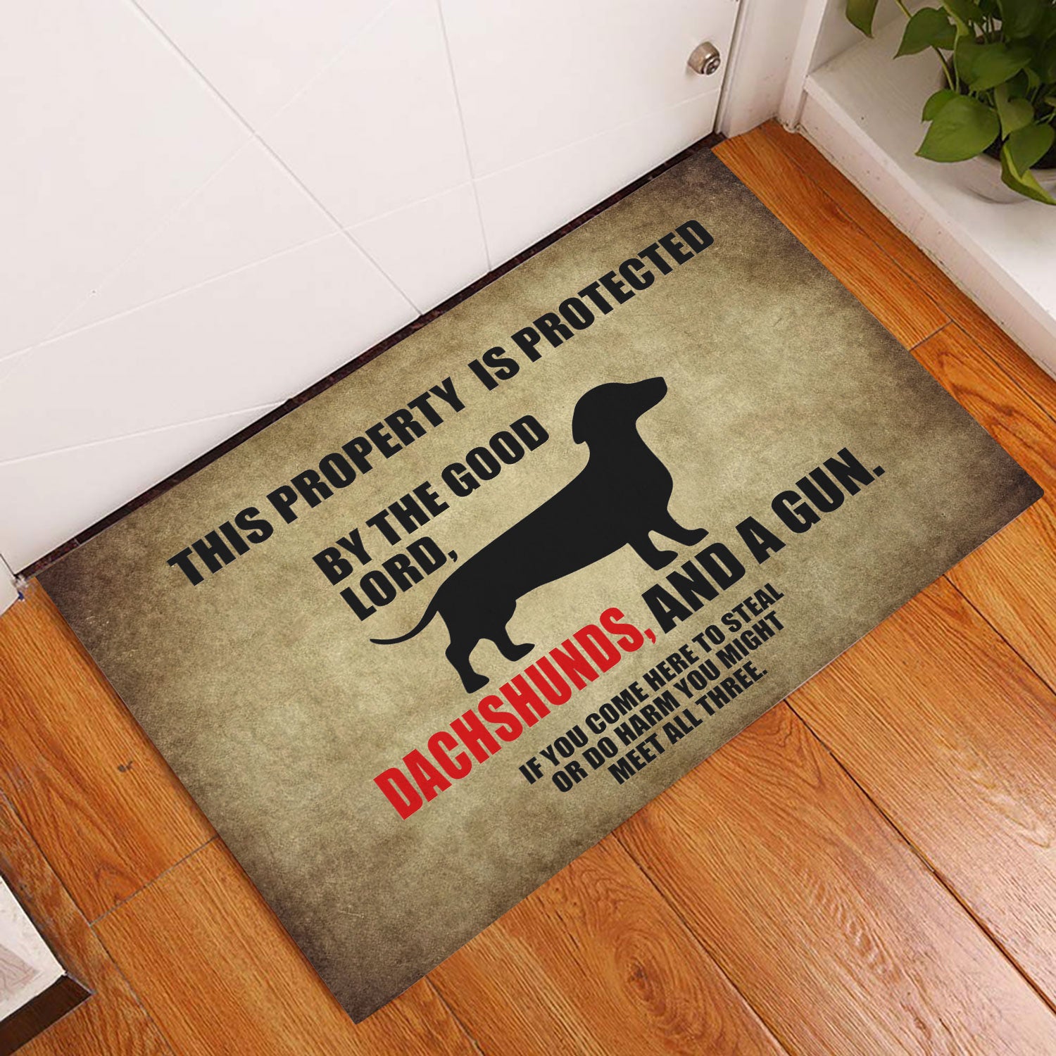 Ohaprints-Doormat-Outdoor-Indoor-This-Property-Is-Protected-By-The-Good-Lord-A-Dachshund-Dog-Rubber-Door-Mat-271-