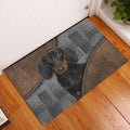 Ohaprints-Doormat-Outdoor-Indoor-Love-Dachshund-Weiner-Doxie-Brown-Pattern-Gift-For-Dog-Lover-Rubber-Door-Mat-341-