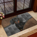 Ohaprints-Doormat-Outdoor-Indoor-Love-Dachshund-Weiner-Doxie-Brown-Pattern-Gift-For-Dog-Lover-Rubber-Door-Mat-341-