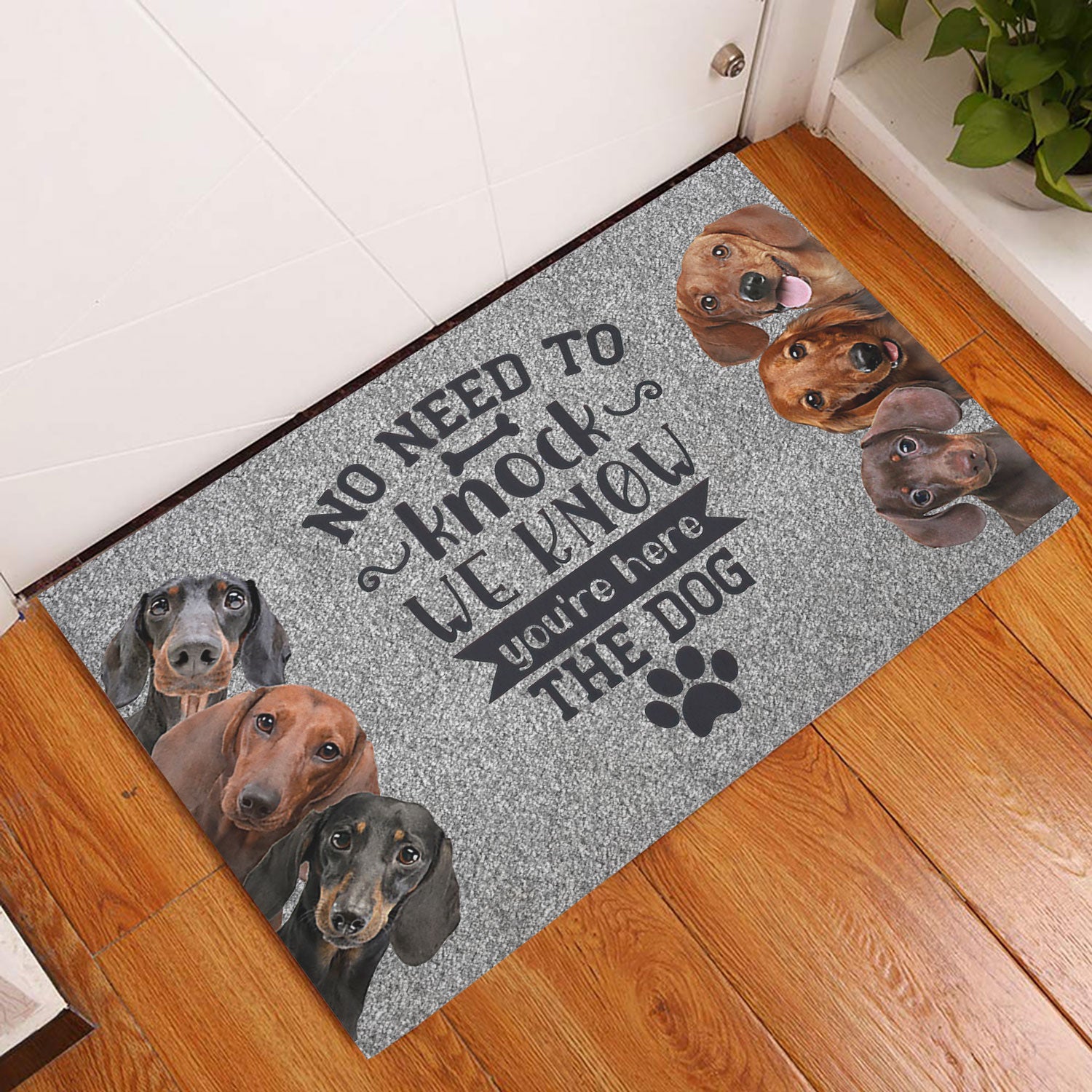 Ohaprints-Doormat-Outdoor-Indoor-Dachshund-Weiner-Doxie-Dog-No-Need-To-Knock-We-Know-You'Re-Here-Rubber-Door-Mat-267-