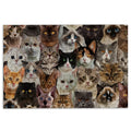 Ohaprints-Doormat-Outdoor-Indoor-Funny-Cute-Cat-A-Bunch-Of-Cats-Kitten-Hope-You-Like-Cats-Rubber-Door-Mat-464-18'' x 30''