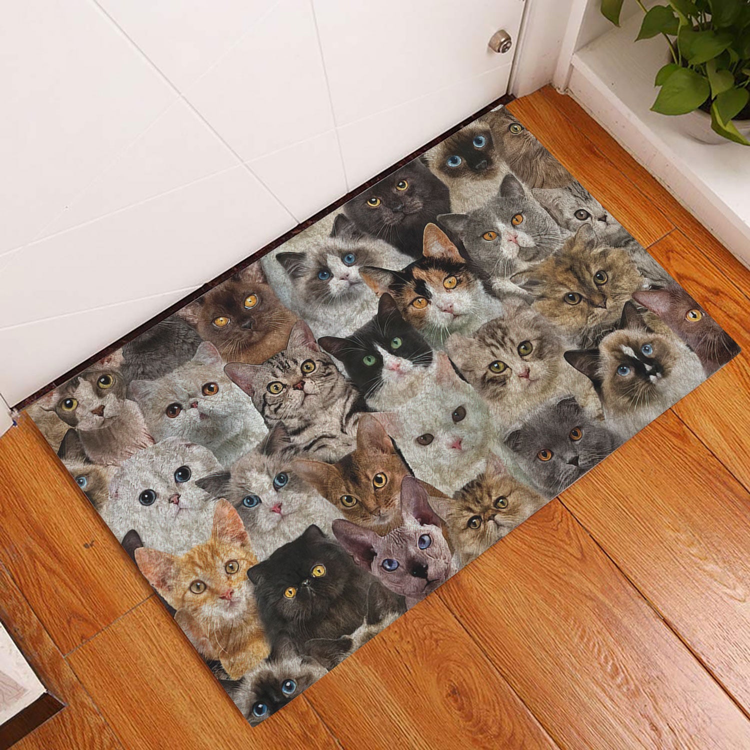 Ohaprints-Doormat-Outdoor-Indoor-Funny-Cute-Cat-A-Bunch-Of-Cats-Kitten-Hope-You-Like-Cats-Rubber-Door-Mat-464-