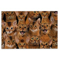 Ohaprints-Doormat-Outdoor-Indoor-Funny-Cute-A-Bunch-Of-Abyssinian-Cats-Kitten-Hope-You-Like-Cats-Rubber-Door-Mat-375-18'' x 30''