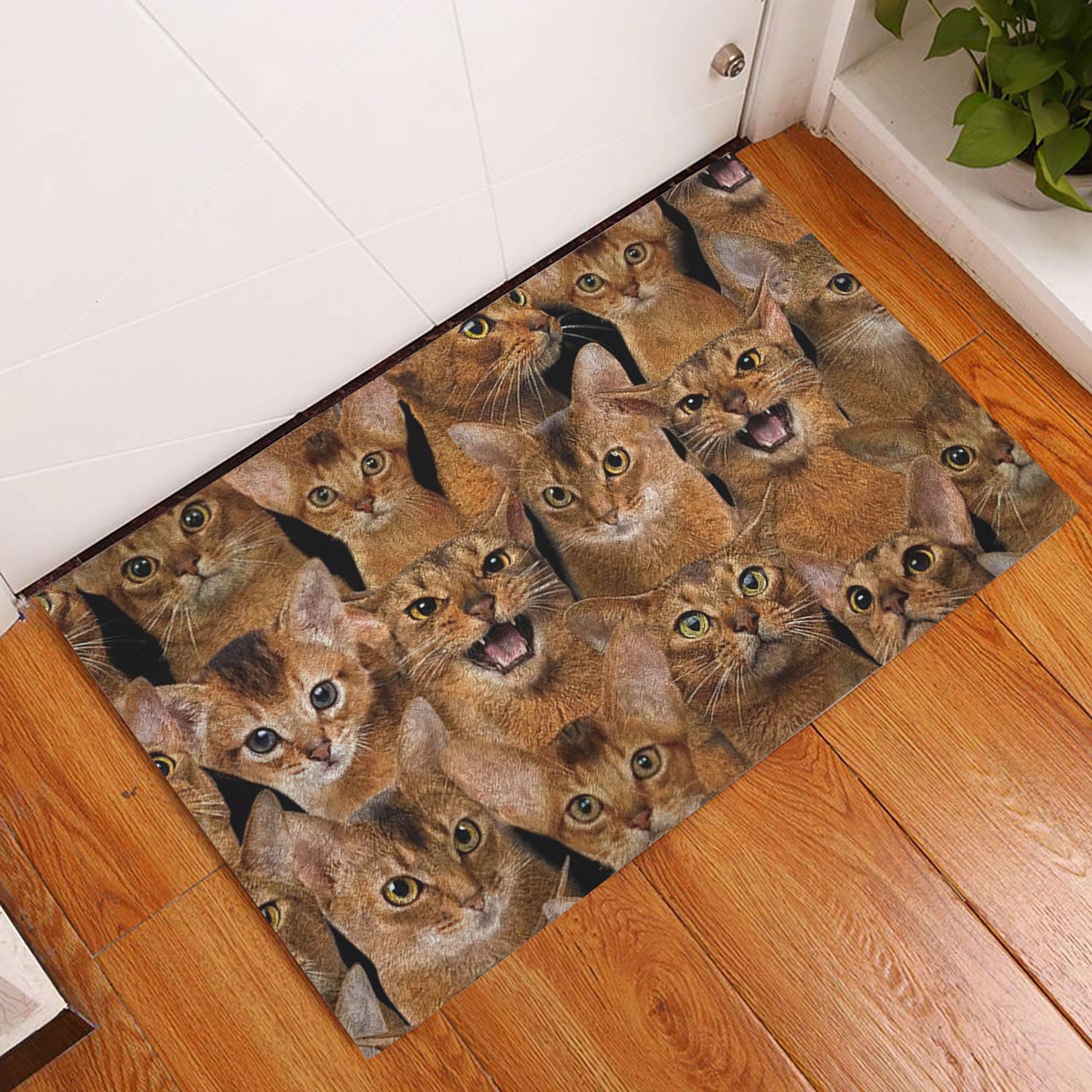 Ohaprints-Doormat-Outdoor-Indoor-Funny-Cute-A-Bunch-Of-Abyssinian-Cats-Kitten-Hope-You-Like-Cats-Rubber-Door-Mat-375-