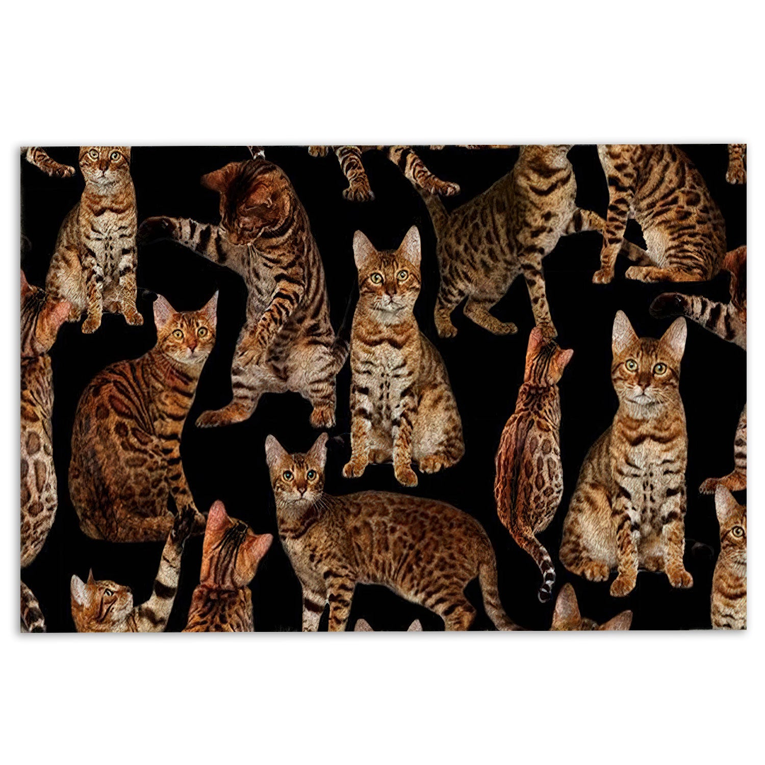 Ohaprints-Doormat-Outdoor-Indoor-Funny-Cute-A-Bunch-Of-Bengal-Cats-Kitten-Hope-You-Like-Cats-Rubber-Door-Mat-386-18'' x 30''