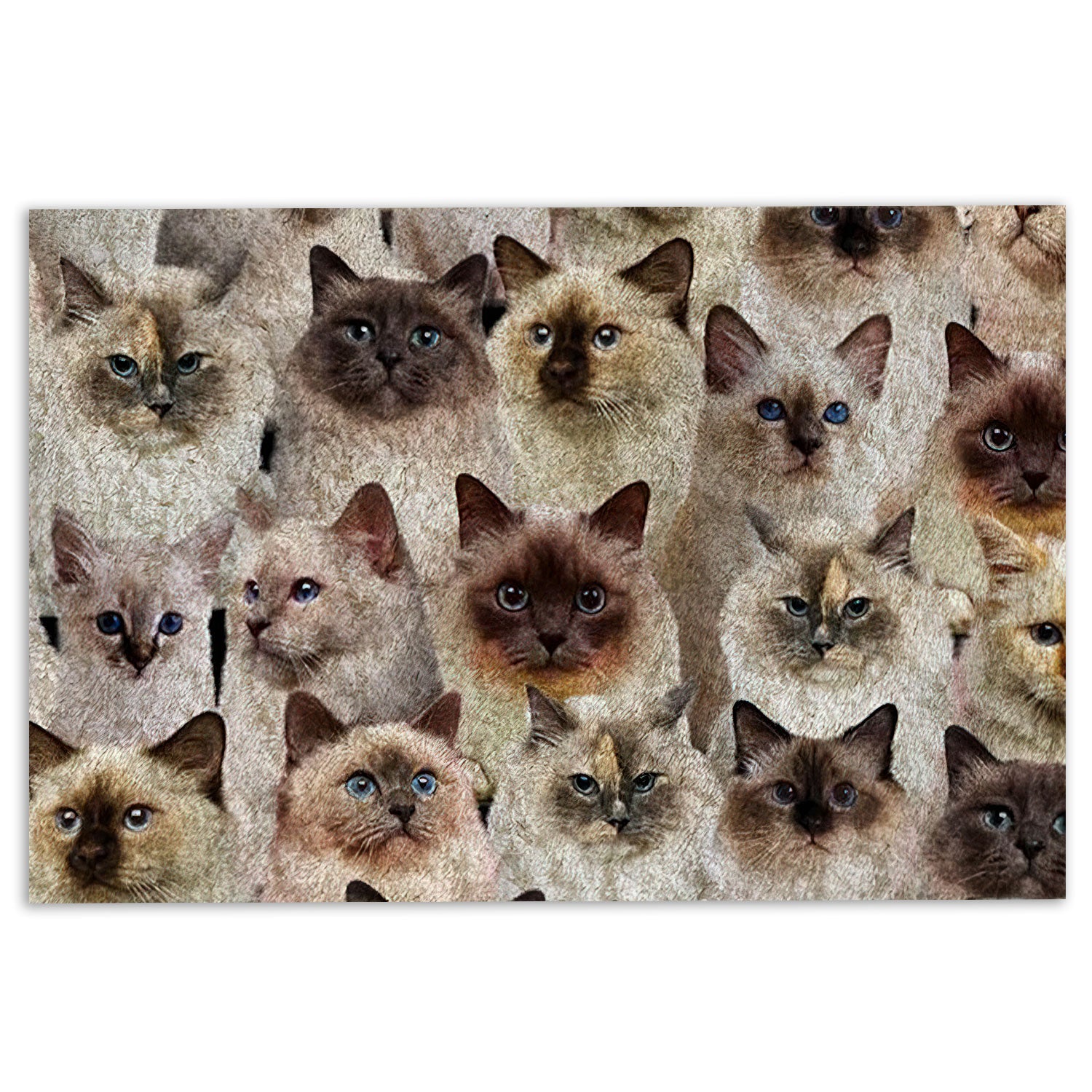 Ohaprints-Doormat-Outdoor-Indoor-Funny-Cute-A-Bunch-Of-Birman-Cats-Kitten-Hope-You-Like-Cats-Rubber-Door-Mat-465-18'' x 30''