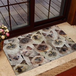 Welcome Doormat Funny 3D Cat Floor Mats Doormats Indoor-Outdoor Door Mat