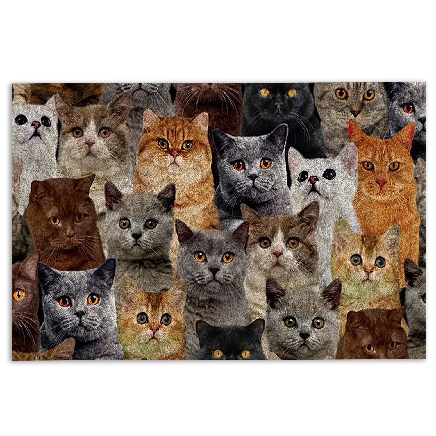 Ohaprints-Doormat-Outdoor-Indoor-Funny-A-Bunch-Of-British-Shorthair-Cats-Kitten-Hope-You-Like-Cat-Rubber-Door-Mat-466-18'' x 30''