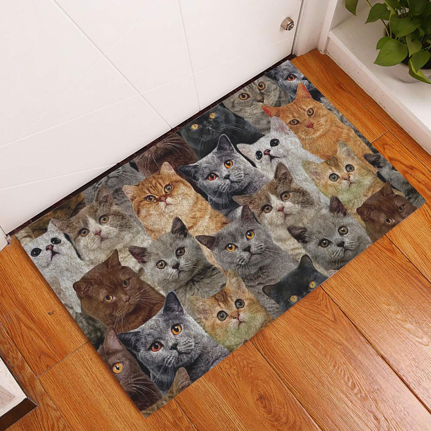 Ohaprints-Doormat-Outdoor-Indoor-Funny-A-Bunch-Of-British-Shorthair-Cats-Kitten-Hope-You-Like-Cat-Rubber-Door-Mat-466-