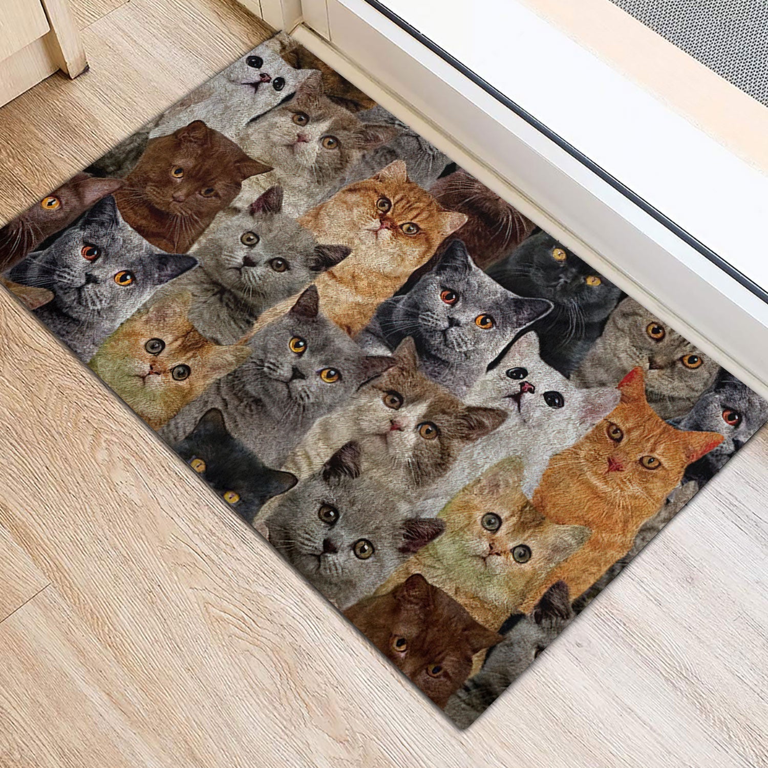 Ohaprints-Doormat-Outdoor-Indoor-Funny-A-Bunch-Of-British-Shorthair-Cats-Kitten-Hope-You-Like-Cat-Rubber-Door-Mat-466-