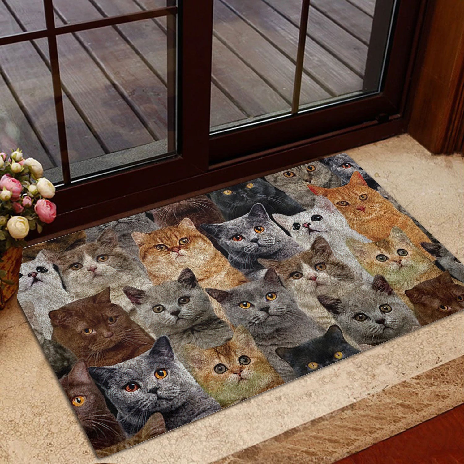 Ohaprints-Doormat-Outdoor-Indoor-Funny-A-Bunch-Of-British-Shorthair-Cats-Kitten-Hope-You-Like-Cat-Rubber-Door-Mat-466-