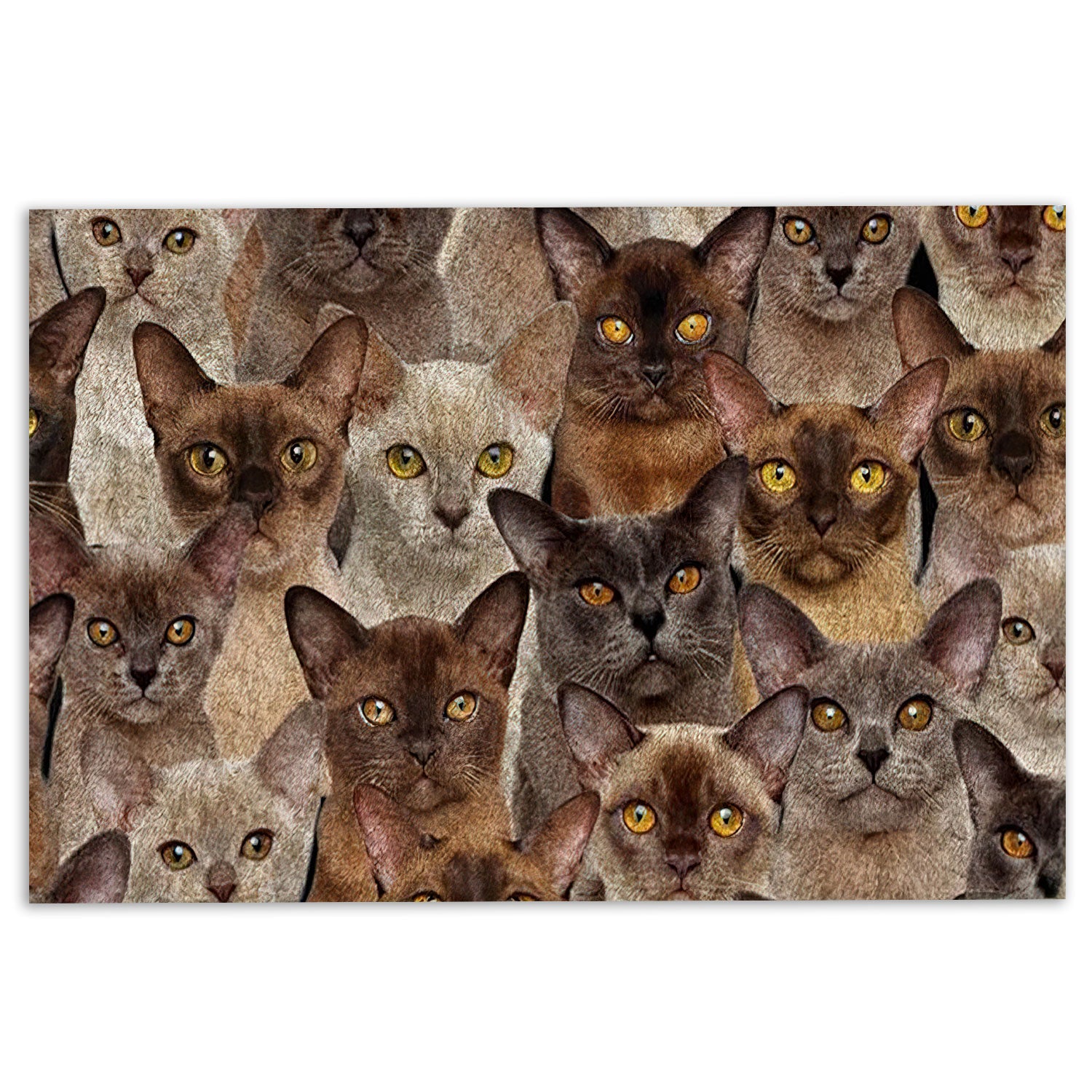 Ohaprints-Doormat-Outdoor-Indoor-Funny-Cute-A-Bunch-Of-Burmese-Cats-Kitten-Hope-You-Like-Cats-Rubber-Door-Mat-467-18'' x 30''