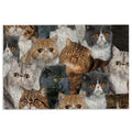 Ohaprints-Doormat-Outdoor-Indoor-Funny-Cute-A-Bunch-Of-Exotic-Cats-Kitten-Hope-You-Like-Cats-Rubber-Door-Mat-468-18'' x 30''