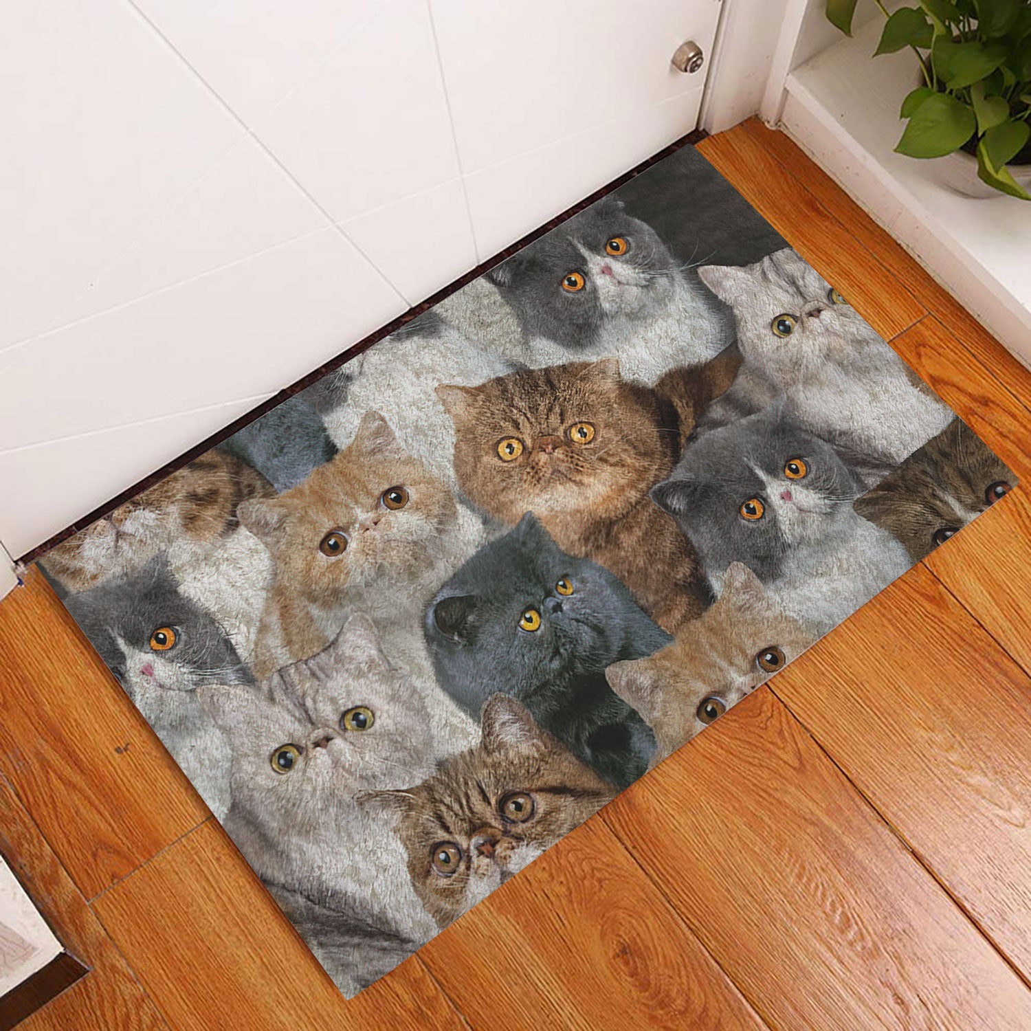 Ohaprints-Doormat-Outdoor-Indoor-Funny-Cute-A-Bunch-Of-Exotic-Cats-Kitten-Hope-You-Like-Cats-Rubber-Door-Mat-468-