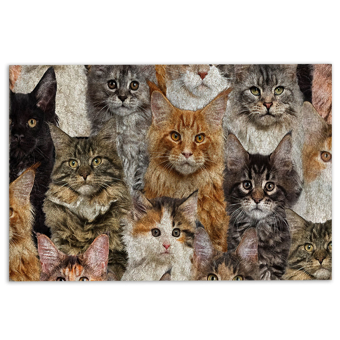 Ohaprints-Doormat-Outdoor-Indoor-Funny-Cute-A-Bunch-Of-Maine-Coon-Cats-Kitten-Hope-You-Like-Cats-Rubber-Door-Mat-419-18'' x 30''