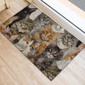 Ohaprints-Doormat-Outdoor-Indoor-Funny-Cute-A-Bunch-Of-Maine-Coon-Cats-Kitten-Hope-You-Like-Cats-Rubber-Door-Mat-419-