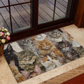 Ohaprints-Doormat-Outdoor-Indoor-Funny-Cute-A-Bunch-Of-Maine-Coon-Cats-Kitten-Hope-You-Like-Cats-Rubber-Door-Mat-419-