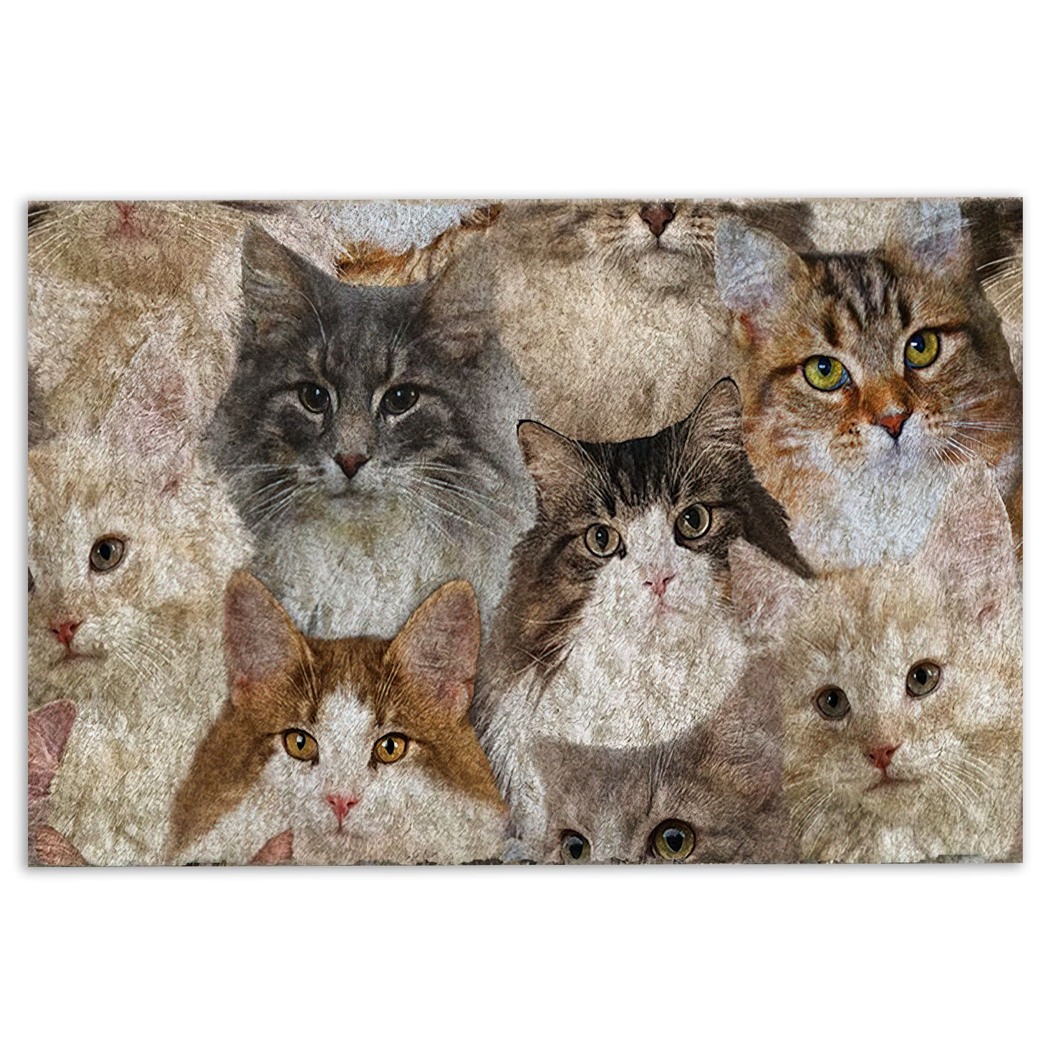 Ohaprints-Doormat-Outdoor-Indoor-Funny-A-Bunch-Of-Norwegian-Forest-Cats-Kitten-Hope-You-Like-Cats-Rubber-Door-Mat-469-18'' x 30''