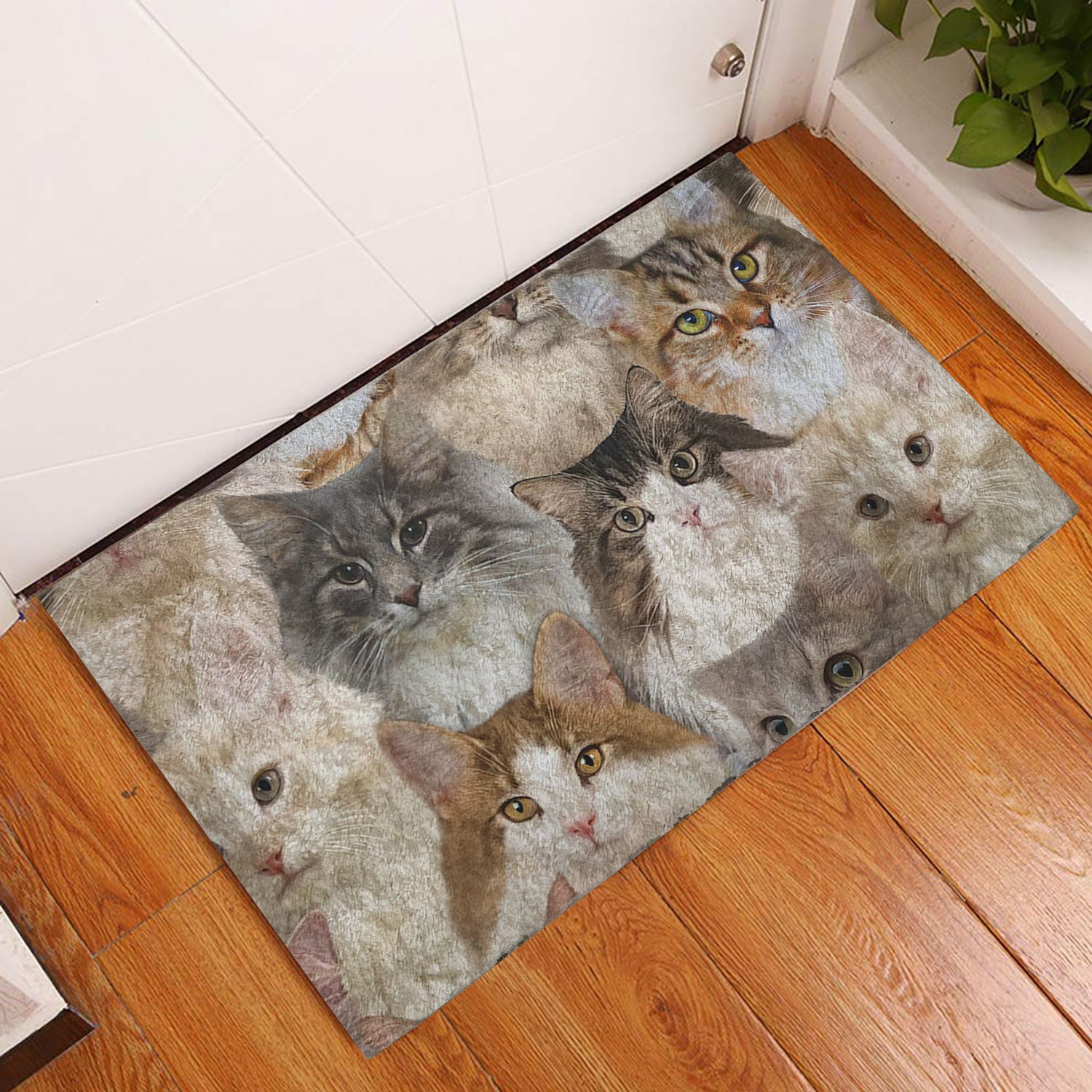 Ohaprints-Doormat-Outdoor-Indoor-Funny-A-Bunch-Of-Norwegian-Forest-Cats-Kitten-Hope-You-Like-Cats-Rubber-Door-Mat-469-