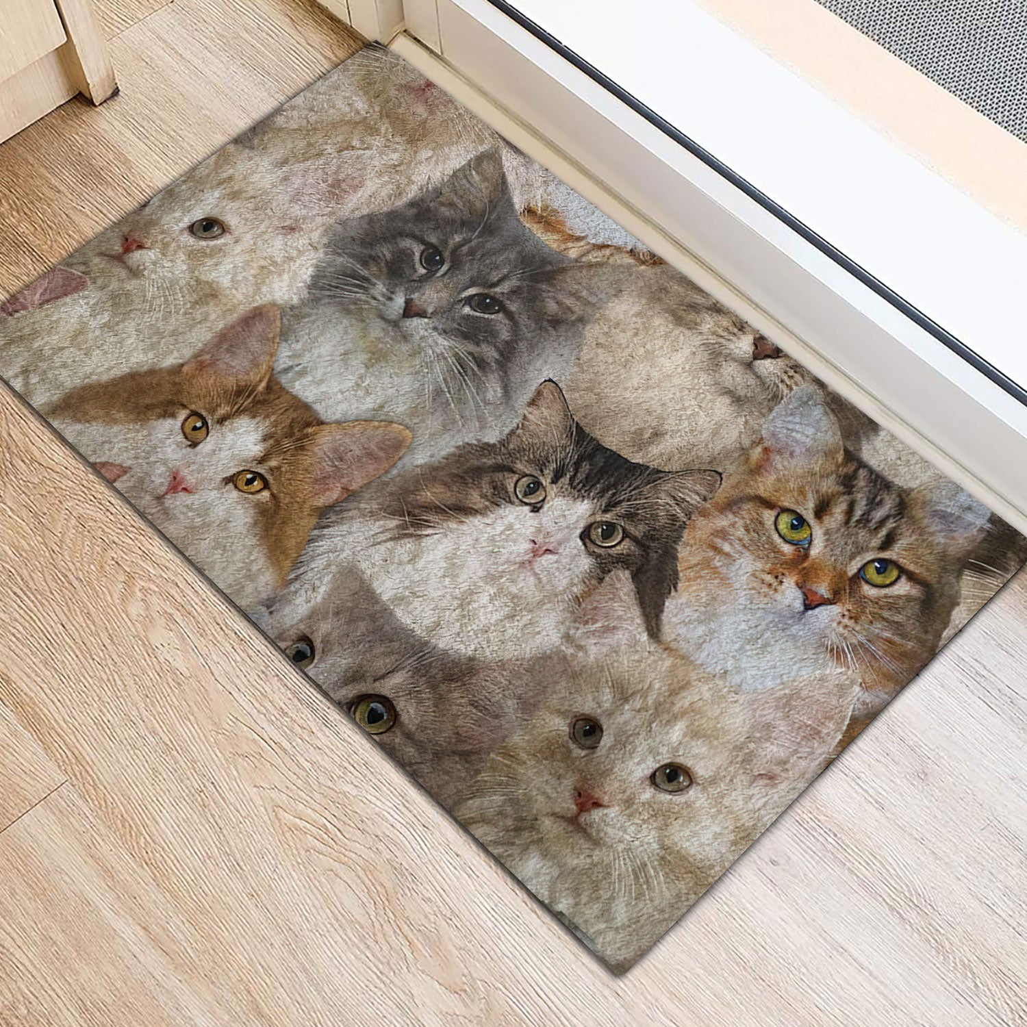 Welcome Doormat Funny 3D Cat Floor Mats Doormats Indoor-Outdoor