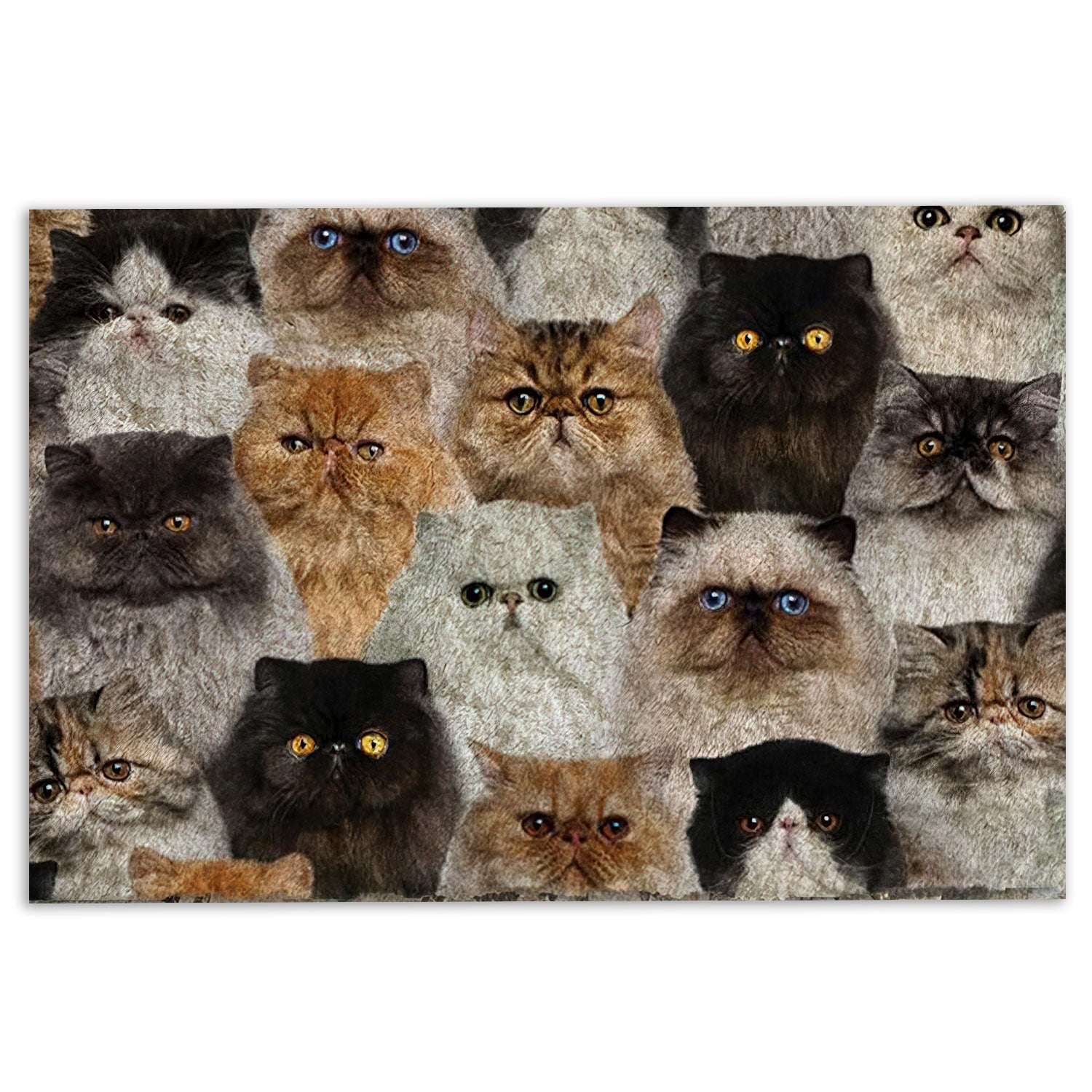 Ohaprints-Doormat-Outdoor-Indoor-Funny-Cute-A-Bunch-Of-Persian-Cats-Kitten-Hope-You-Like-Cats-Rubber-Door-Mat-408-18'' x 30''